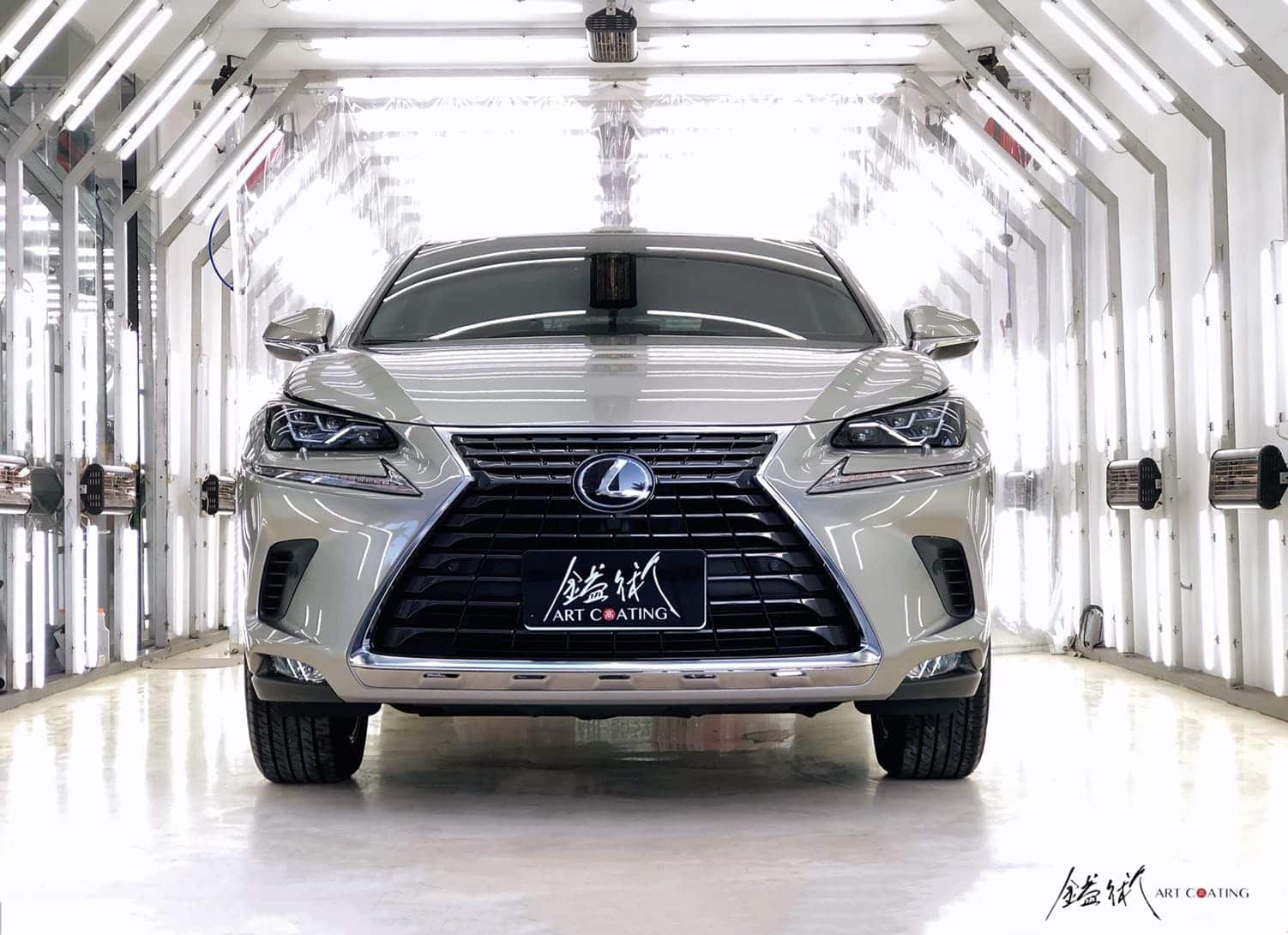 Lexus 凌志 NX300 灰色作品主圖